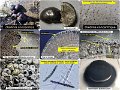 Daldinia concentrica-amf750-1